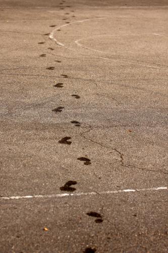 2015-08-08 10-50-14 - IMG_9491